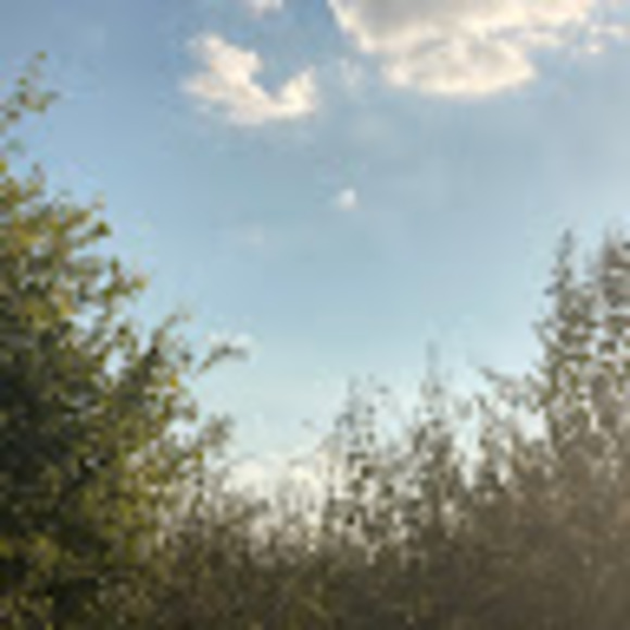 Meet your Posher, Andrea - Picture 1 of 1